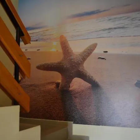 Stella Del Mare ゲストハウス