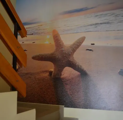 Stella Del Mare Casa de hóspedes